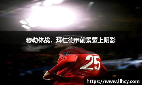 三亿体育官网