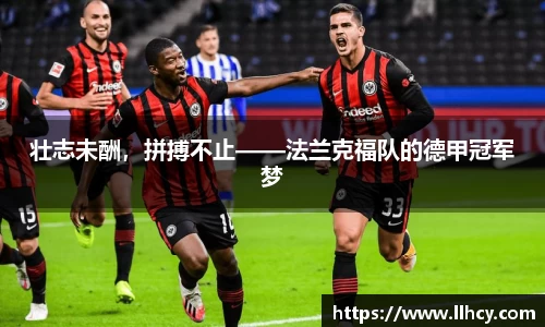 壮志未酬，拼搏不止——法兰克福队的德甲冠军梦