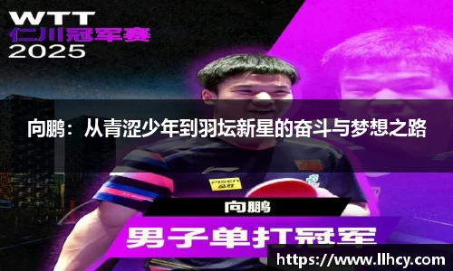 向鹏：从青涩少年到羽坛新星的奋斗与梦想之路