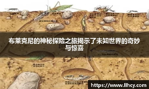 布莱克尼的神秘探险之旅揭示了未知世界的奇妙与惊喜